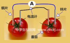 番茄電池